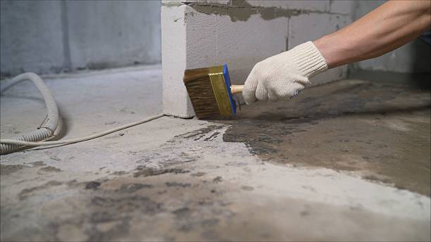 24/7 Emergency Crawl Space Encapsulation experts in Lexington, NC